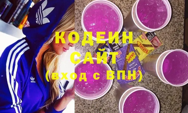 дарк нет наркотические препараты  mega ССЫЛКА  Родники  Codein Purple Drank 