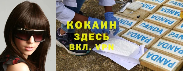 шишки Аксай